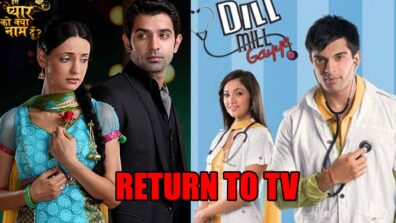 Iss Pyaar Ko Kya Naam Doon VS Dill Mill Gayye: Which show should return to TV?