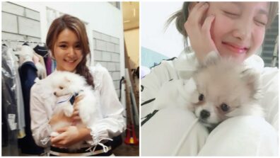 Twice’s Chaeyoung’s Cutest Photos With Her Pet