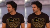 Vivek Dahiya goes goofy on social media, Divyanka Tripathi goes ROFL