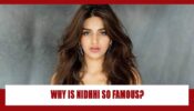 Why Is Nidhhi Agerwal So Famous?
