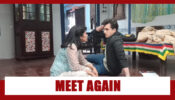 Yeh Rishta Kya Kehlata Hai Spoiler Alert: Kartik and Sirat meet again