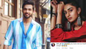 You have lost so much of weight: Erica Fernandes expresses concern for Parth Samthaan’s health on social media, Kasautii fans melt in awe