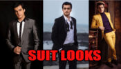 Mohsin Khan In Blue, Green, Black, Tan, And Red Suit: Which Would You Opt For Function?