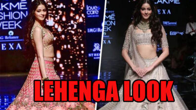 3 Gorgeous Looks Of Ananya Panday In Lehenga Which Will Stun You, See Here