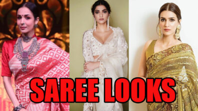 5 Times Bollywood Divas In Saree Looks Amazingly Gorgeous: Malaika Arora, Sonam Kapoor, Kriti Sanon