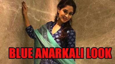 Actress Dipika Kakar Looks Beautiful In Blue Printed Anarkali, See Here