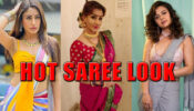 Actresses Who Aced Saree Look Flawlessly: Devoleena Bhattacharjee, Surbhi Chandna, Shilpa Shinde