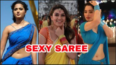 Anushka Shetty, Tamannaah Bhatia & Hansika Motwani’s Hottest Unseen Saree Moments To Fall In Love