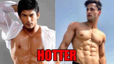 Asim Riaz VS Siddharth Shukla: Hottest abs to make you sweat