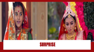 Barrister Babu Spoiler Alert: Bondita’s surprise for Manorama