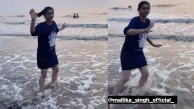 Beach Masti: Mallika Singh caught on camera dancing like a princess, fans fall in love