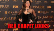 Best Looks Of Sushmita Sen On Red Carpet Of All Times