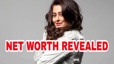 Bigg Boss Kannada 8 Contestant Nidhi Subbaiah’s Net Worth REVEALED