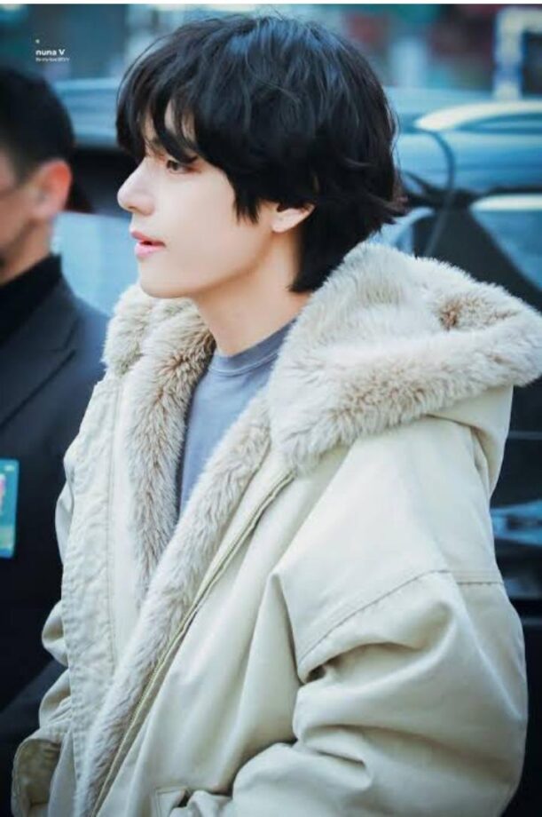 BTS Members Rock The Fur Jacket Look, See Pictures Of Them - 0