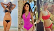 Burning hot looks of beauty Nia Sharma in bikini, fans can feel the heat