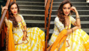 Desi Babe: Taarak Mehta Ka Ooltah Chashmah’s Sunayana Fozdar turns a poet, fans feel motivated