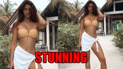 Disha Patani looks stunning in a strapless bikini, fans feel the heat