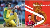 Was Glenn Maxwell Worth Buying At 14.25 Crore in IPL?