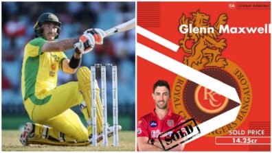 Was Glenn Maxwell Worth Buying At 14.25 Crore in IPL?