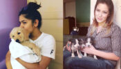 Dog Lovers: TMKOC fame Munmun Dutta aka Babita Ji & Nidhi Bhanushali aka Sonu are avid animal lovers, fans praise