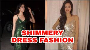From Janhvi Kapoor To Ananya Panday: Celebs Who Gave Shimmery Fashion A New Dimension