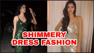 From Janhvi Kapoor To Ananya Panday: Celebs Who Gave Shimmery Fashion A New Dimension