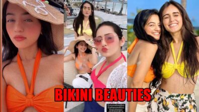 Helly Shah looks super hot in latest bikini avatar, fans love it