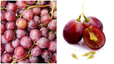 Do You Know What Are The Benefits Of Eating Seeded Grapes? Read Here To Know More