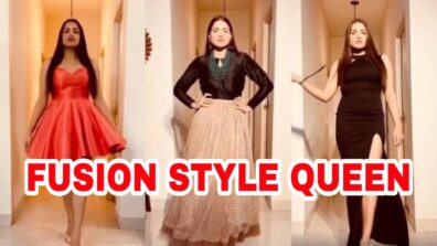 Himanshi Khurana Has The Better Taste Of Fusion Look, See Photos