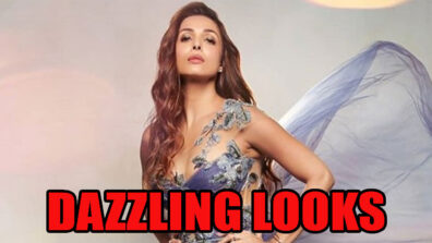 Hotness Alert!! Top Dazzling Hot Looks Of Malaika Arora Judging The Reality Show