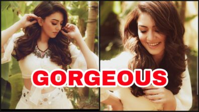 Hottie Alert: Hansika Motwani melts internet with her smoking photo designer photoshoot, fans feel the burn