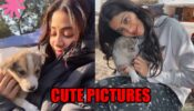 Janhvi Kapoor shares cute pictures with puppy