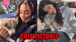 Janhvi Kapoor shares cute pictures with puppy