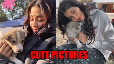 Janhvi Kapoor shares cute pictures with puppy