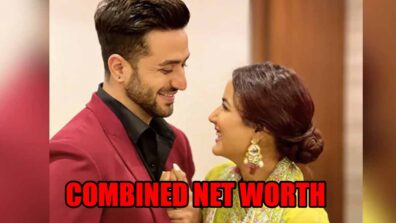 Jasmin Bhasin And Aly Goni’s Combined Net Worth Will Stun You 