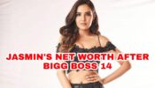 Jasmin Bhasin’s Net Worth REVEALED After Bigg Boss 14