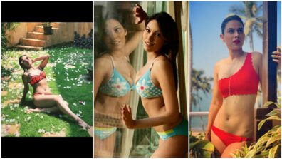 Jennifer Winget, Munmun Dutta, and Nia Sharma look striking hot in a bikini, fans feel the heat