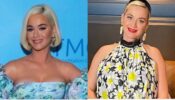 Katy Perry Looks Gorgeous In Floral Print Outfit In Her Recent Post, See Here