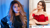 Love me: Arishfa Khan shares cryptic post about her personal life, Avneet Kaur has something to say