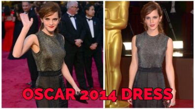 Major Throwback !! Emma Watson metallic looks at Oscar 2014 stole millions of hearts