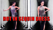 Malaika Arora Looks Freaking Hot In Black And White Sequin Fringe Dress, See Picture