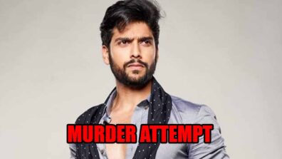 Mehndi Hai Rachne Waali spoiler alert: Murder attempt on Raghav