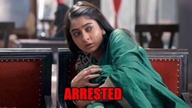 Mehndi Hai Rachne Waali spoiler alert: OMG! Pallavi gets arrested