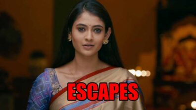 Mehndi Hai Rachne Waali spoiler alert: Pallavi escapes safely from a car accident