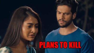 Mehndi Hai Rachne Waali spoiler alert: Raghav plans to KILL Pallavi