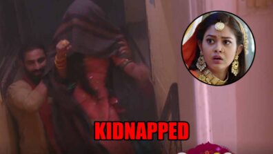 Molkki spoiler alert: Purvi gets kidnapped