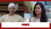 Molkki Spoiler Alert: Virendra makes a promise to Purvi