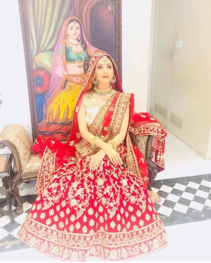 Monica Gill, Gurleen Chopra, Ihana Dhillon, Rubina Bajwa:  Punjabi Hot Actresses Who Donned the Lehenga Look - 1