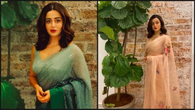 Neha Pendse In Sequin Saree Vs Printed Saree: Which Look Of Hers Would You Opt For?