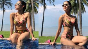 Nushrat Bharucha Looks Beautiful In Bikini, See Here
